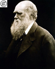 photograph of Charles Darwin: open source
