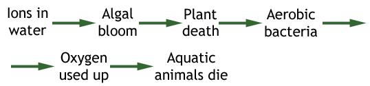an outline of eutrophication