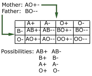 example of comdominance in blood groups